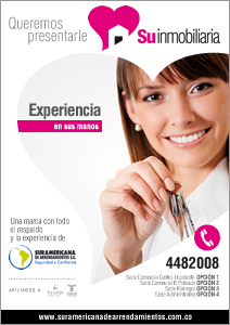 Mailing lanzamiento, Identidad visual Su Inmobiliaria