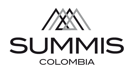 Opciones proceso, Imagen - Brochures Summis