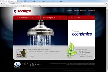 Home, Sitio web Tecnigas