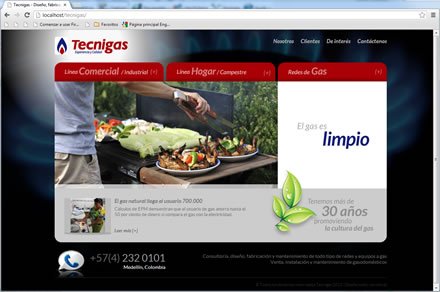 Home, Sitio web Tecnigas