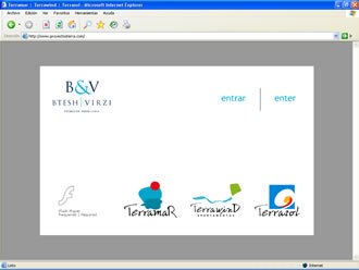Selección de Idioma, Web Proyectos Terra