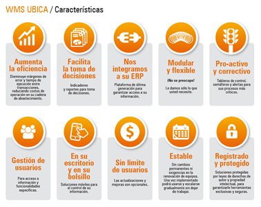 Detalle sistema iconográfico, Infografía y brochure Ubica Soluciones