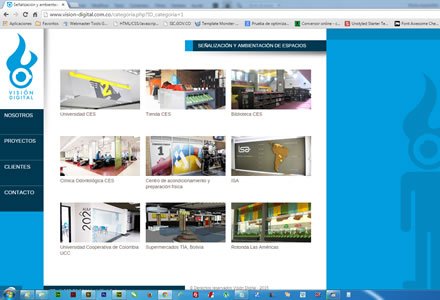 Portafolio, Sitio web Visión Digital